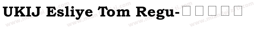 UKIJ Esliye Tom Regu字体转换